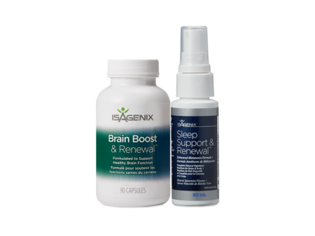Brain and Sleep Support System